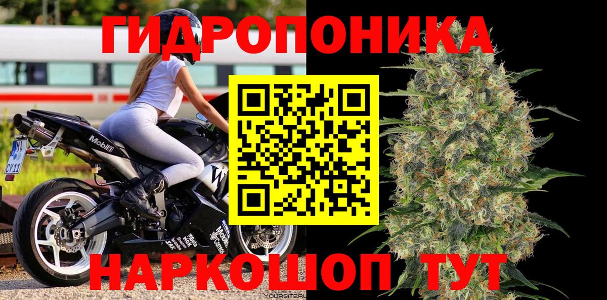 Бошки Шишки тримм  Конопля White Widow  Конопля ГИДРОПОН  Бошки марихуана OG Kush  Всеволожск  Вход с VPN 